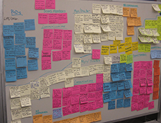 We grouped salient points and quotes from interviews by stakeholder group to build a picture of participants' motivations.