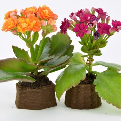 2 small flower pots created by 3D printing with spent coffee grounds