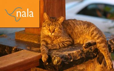 Nala logo with lounging cat.