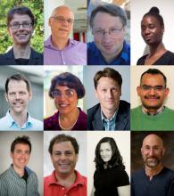collage of the 12 new AAAS Leshner Public Engagement Fellows for 2020