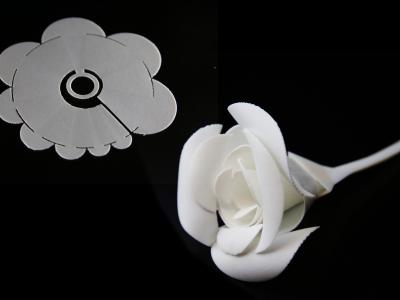 a piece of flat, white plastic being dipped in warm water and folding into a rose
