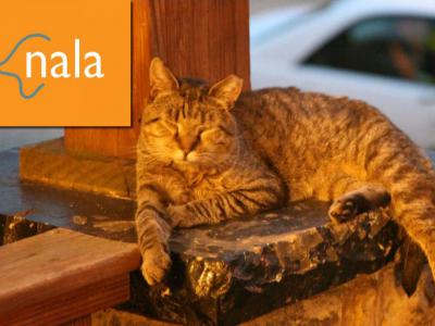 Project Nala Nala logo with lounging cat.