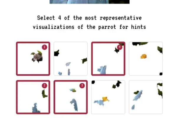a full image of a parrot above 8 small squares, each containing a small portion of image. Text reads "Select 4 of the most representative visualizations of the parrot for hints"